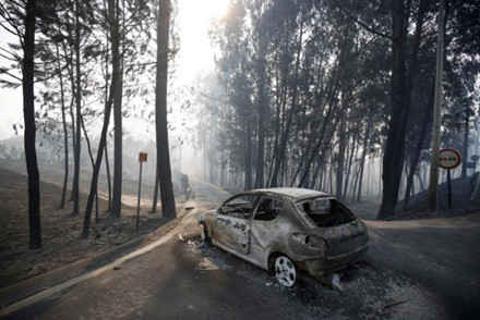 Hình ảnh biển lửa khủng khiếp vụ cháy rừng khiến 62 người chết ở Bồ Đào Nha ảnh 10