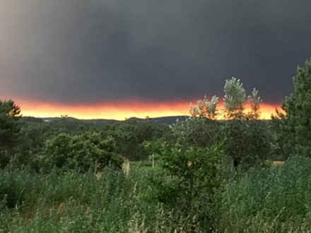 Hình ảnh biển lửa khủng khiếp vụ cháy rừng khiến 62 người chết ở Bồ Đào Nha ảnh 14