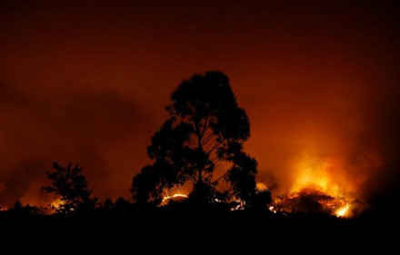 Hình ảnh biển lửa khủng khiếp vụ cháy rừng khiến 62 người chết ở Bồ Đào Nha ảnh 8