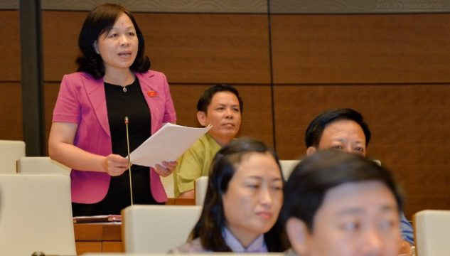 đại biểu Nguyễn Thị Mai Hoa – Đồng Tháp 