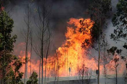 Hình ảnh biển lửa khủng khiếp vụ cháy rừng khiến 62 người chết ở Bồ Đào Nha ảnh 1