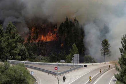 Hình ảnh biển lửa khủng khiếp vụ cháy rừng khiến 62 người chết ở Bồ Đào Nha ảnh 2