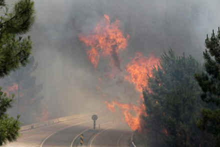 Hình ảnh biển lửa khủng khiếp vụ cháy rừng khiến 62 người chết ở Bồ Đào Nha ảnh 3
