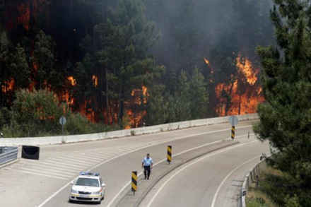 Hình ảnh biển lửa khủng khiếp vụ cháy rừng khiến 62 người chết ở Bồ Đào Nha ảnh 4