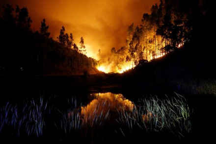 Hình ảnh biển lửa khủng khiếp vụ cháy rừng khiến 62 người chết ở Bồ Đào Nha ảnh 6