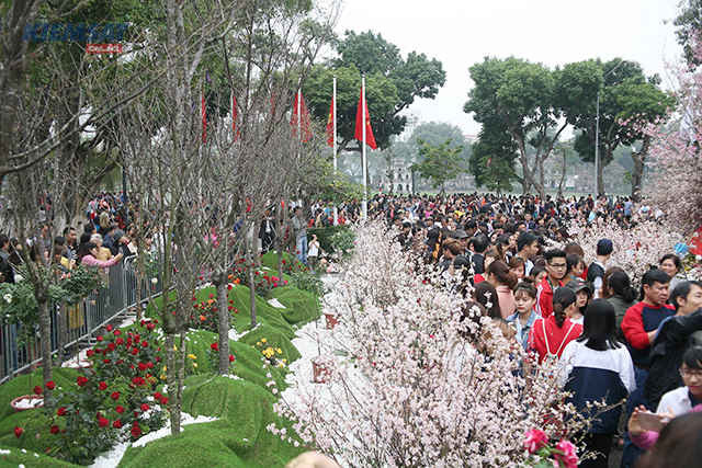 Chiều 12/3, Ban tổ chức hoạt động giao lưu văn hóa Nhật Bản và triển lãm hoa anh đào tại Hà Nội năm 2017 đã quyết định kéo dài thời gian triển lãm hoa anh đào thêm một ngày, tức là kết thúc vào ngày 13/3 thay vì kết thúc vào ngày 12/3 như dự kiến.