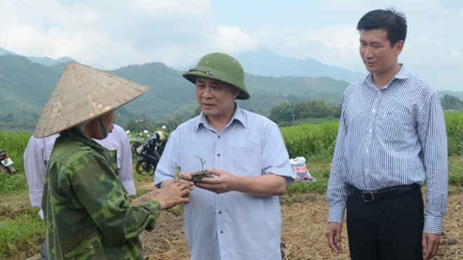 Người trao thân miền sơn cước - Nén hương nhớ ông Phạm Duy Cường