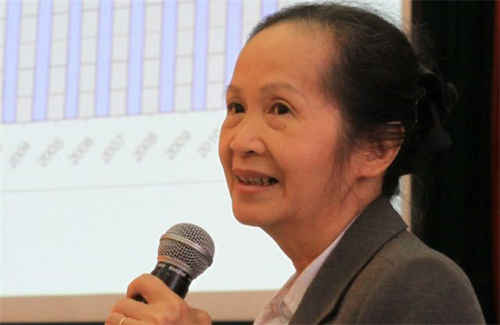 Chuyên gia kinh tế Phạm Chi Lan cho rằng một số ưu đãi về thuế và đất đai đang trở nên thừa thãi, nếu xét trong bối cảnh phát triển chung.