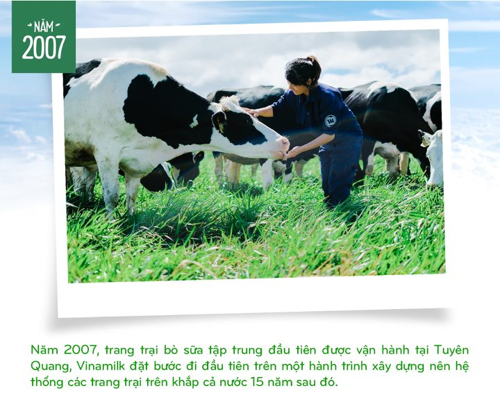 Trang trại bò sữa Vinamilk công nghệ cao - Nextfarm