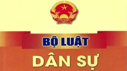 Ai là bị đơn trong vụ án đòi bồi thường do người của pháp nhân gây ra?