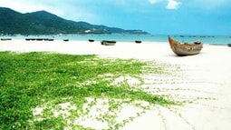 Trợ giúp pháp lý cho người khuyết tật và vai trò của Luật sư