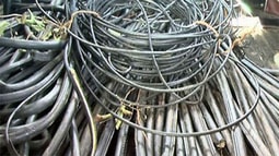 Giả công nhân điện lực cắt trộm dây điện hạ thế giữa ban ngày