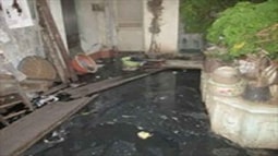 Trước 01/5/2017 phải báo cáo Thủ tướng việc giải quyết vụ nhà số 146 Quán Thánh