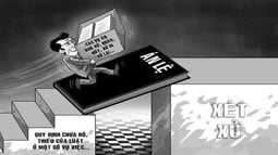 Án lệ và việc áp dụng án lệ trong xét xử