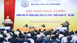 Phá rừng phòng hộ, 04 bị can sắp hầu tòa