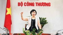 Tổng Bí thư yêu cầu làm rõ thông tin về tài sản của Thứ trưởng Hồ Thị Kim Thoa