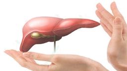 5 điều kinh ngạc về lá gan của bạn