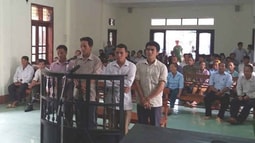 Cán bộ địa chính xã thuê người phá rừng lĩnh án