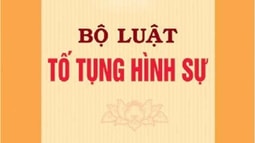 Giải quyết tranh chấp về thẩm quyền giải quyết tố giác, tin báo về Tham gia casino trực tuyến FV88 và kiến nghị khởi tố