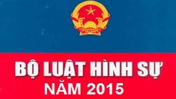 Bàn về kỹ thuật lập pháp của phần chung BLHS năm 2015 (phần 1)