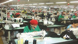 Cty chỉ trả lương 3 ngày nghỉ Tết có đúng?