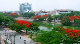 Quy chế đặc thù: Động lực giúp “Thành phố hoa phượng đỏ” cất cánh