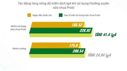 Nghiên cứu lâm sàng chứng minh hiệu quả của Probiotics trong kiểm soát tăng men gan, giảm viêm loét dạ dày hành tá tràng