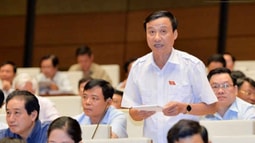ĐBQH đề nghị bổ sung “Tội vi phạm quy định về kinh doanh đa cấp”