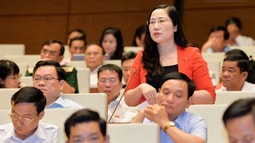 Đại biểu Trương Trọng Nghĩa: Luật sư tố giác thân chủ khi có đủ 3 điều kiện