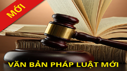 87 tội danh buộc Luật sư phải tố giác thân chủ