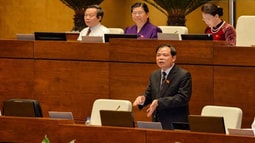 Khủng hoảng thừa nông sản, Bộ trưởng Bộ Nông nghiệp nhận trách nhiệm trước Quốc hội