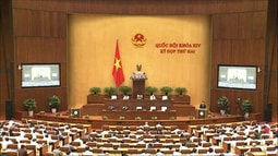 Nhà nước có trách nhiệm bồi thường trong những lĩnh vực nào?