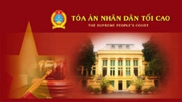 Ngành Tòa án triển khai thi hành BLHS năm 2015 (sửa đổi, bổ sung năm 2017)