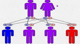 Hai người cùng cụ cố, có thể kết hôn không?