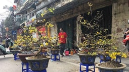 Hà Nội trong khoảng khắc cuối cùng của năm Bính Thân