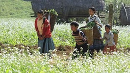 Không khí lạnh tăng cường, miền Bắc có nơi dưới 12 độ C