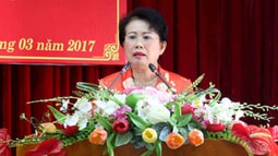 Cảnh cáo Phó Bí thư Tỉnh ủy Đồng Nai Phan Thị Mỹ Thanh