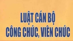 Đơn phương chấm dứt hợp đồng làm việc với viên chức khi nào?!