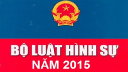 Điểm mới của BLHS 2015 (sửa đổi) về nhóm tội phạm kinh tế, môi trường