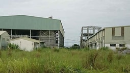 Năm 2020, Bộ Công Thương phải xử lý xong các dự án thua lỗ, yếu kém