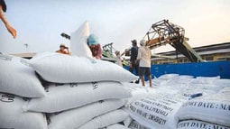 Bộ Công Thương phủ nhận thông tin ‘20.000 USD một giấy phép xuất khẩu gạo’