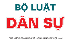 Các trường hợp không áp dụng thời hiệu khởi kiện đối với tranh chấp về quyền sử dụng đất