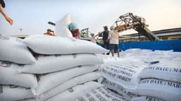 Doanh nghiệp Việt Nam trúng thầu 175.000 tấn gạo bán cho Philippines