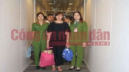 Bắt nguyên cán bộ thanh tra lừa đảo hơn 21 tỷ đồng sau 5 tháng truy nã