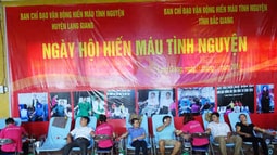 Cán bộ, kiểm sát viên huyện Tân Yên và Lạng Giang tích cực hưởng ứng Chiến dịch “Những giọt máu hồng” hè năm 2016!
