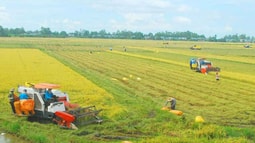 Bộ trưởng Nguyễn Xuân Cường kiến nghị sửa Luật đất đai