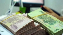 Công bố những ngành có thu nhập, doanh thu khủng nhất Việt Nam