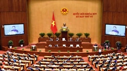 Khai mạc trọng thể Kỳ họp thứ 4, Quốc hội khóa 14