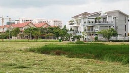 Nghịch lý đất có giấy tờ lại bất lợi so với đất chưa có giấy tờ