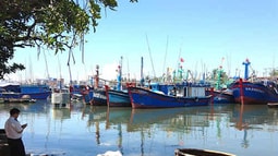 Dấu hiệu lừa đảo, chiếm đoạt tài sản bằng cách tẩu tán để né thi hành án